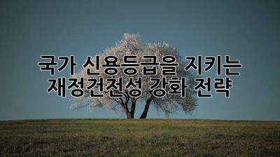 국가 신용등급을 지키는 재정건전성 강화 전략