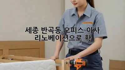 세종 반곡동 오피스 이사, 리노베이션으로 확! ✨