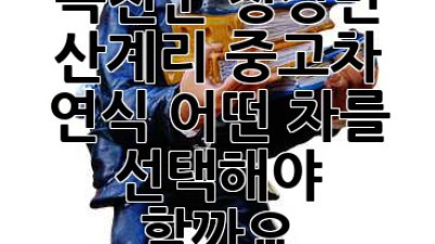 옥천군 청성면 산계리 중고차 연식, 어떤 차를 선택해야 할까요?